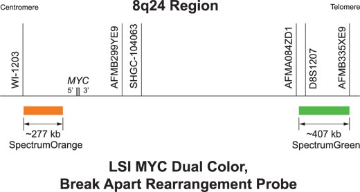 MYC break apart